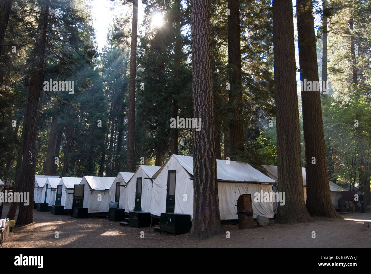 Curry Village In Yosemite National Park California Stock Photo