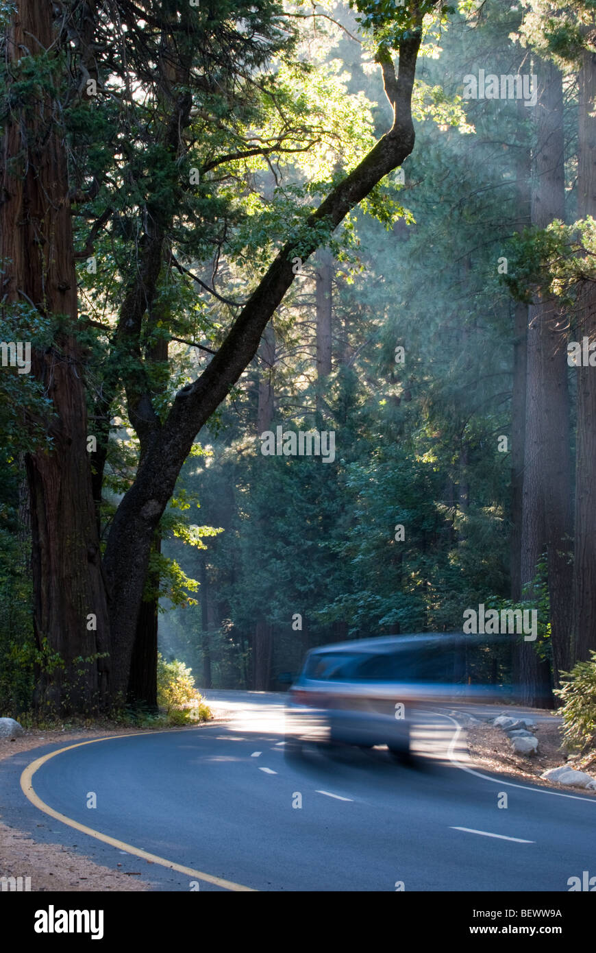 The drive through the valley of Yosemite National Park, California