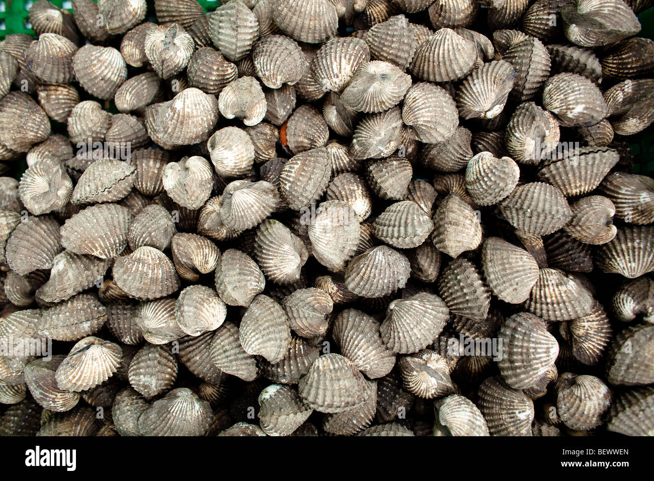 Cockles in a basket hires stock photography and images Alamy