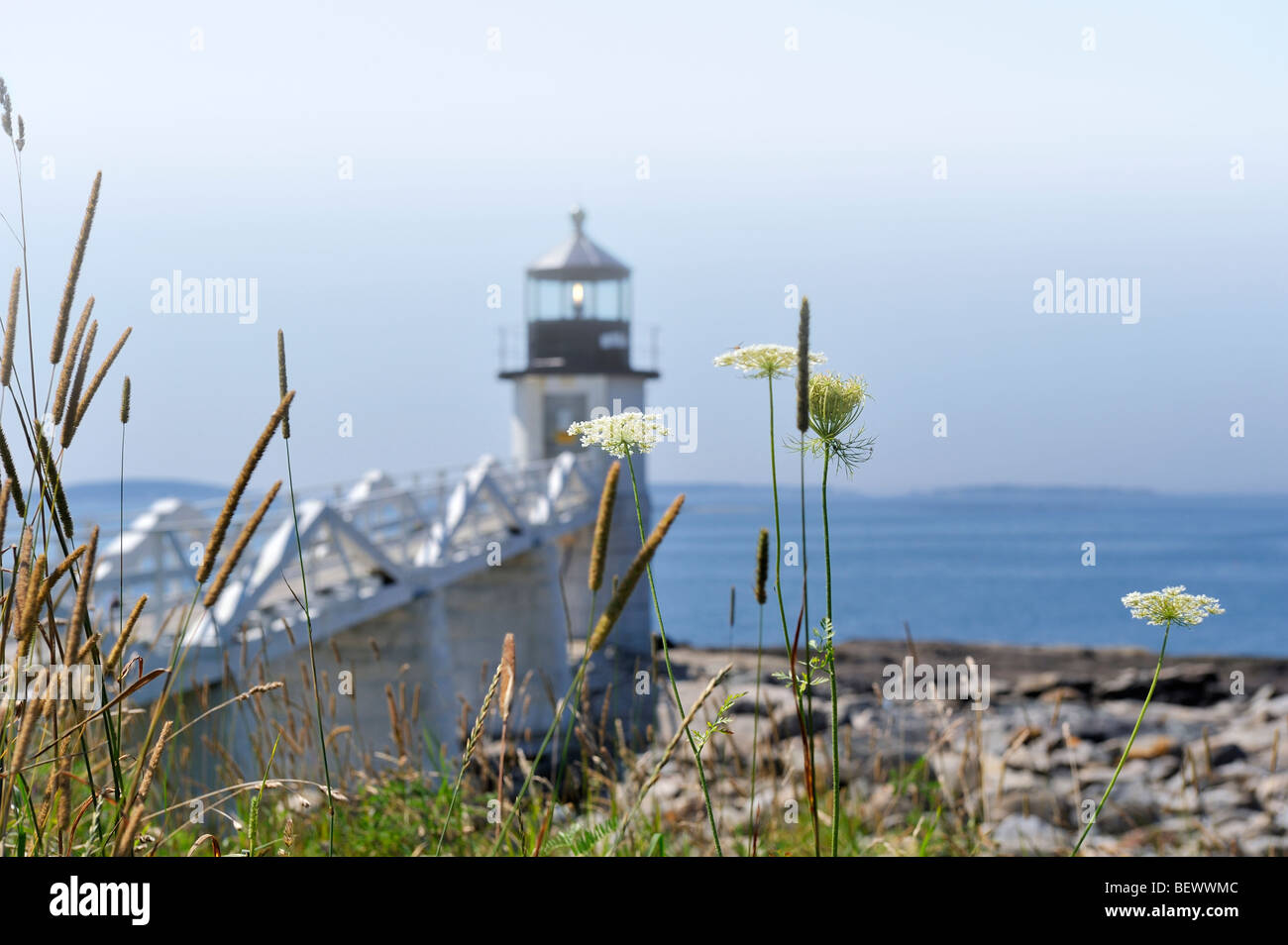 Marshall Point Lighthouse and Penobscot Bay, Port Clyde, Maine, USA seen  through wild grasses, Queen-Anne's Lace and fog Stock Photo - Alamy, image size:1300x954