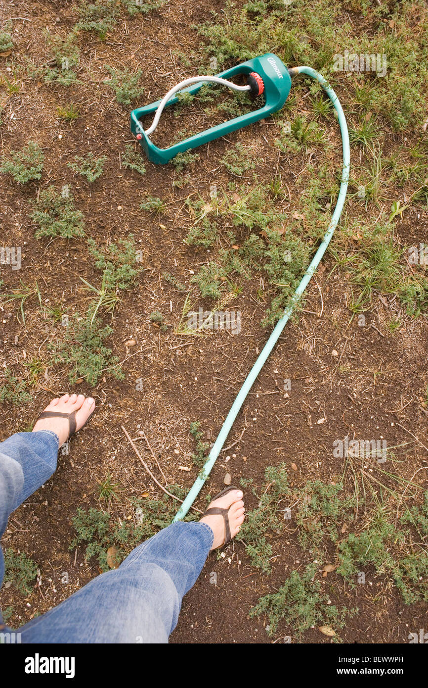 looking down at weeds growing out of the ground with sprinkler Stock Photo