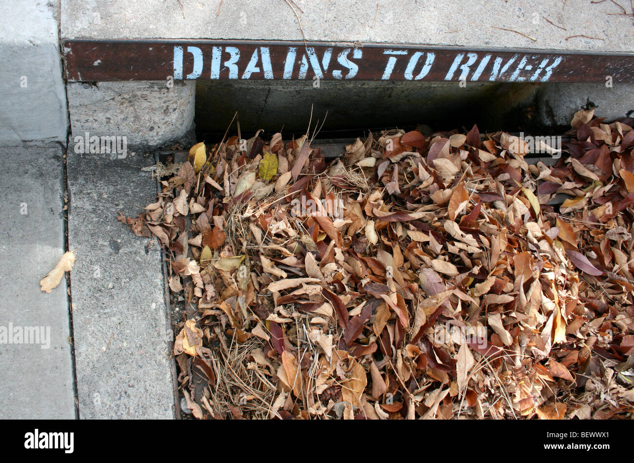 street drain for rain water leaves blocking opening draining to river residential public road, New Mexico, USA Stock Photo