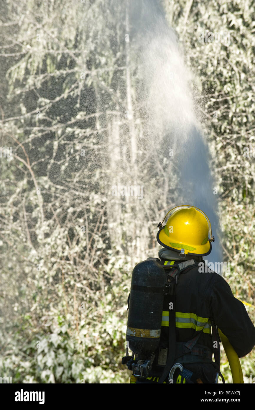 fireman using retardant on forest Stock Photo
