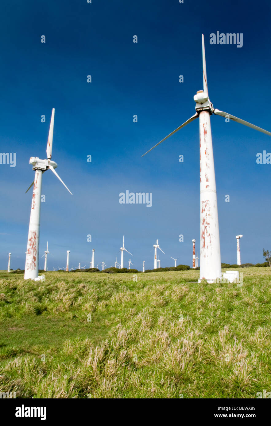 Hawaii wind power hires stock photography and images Alamy