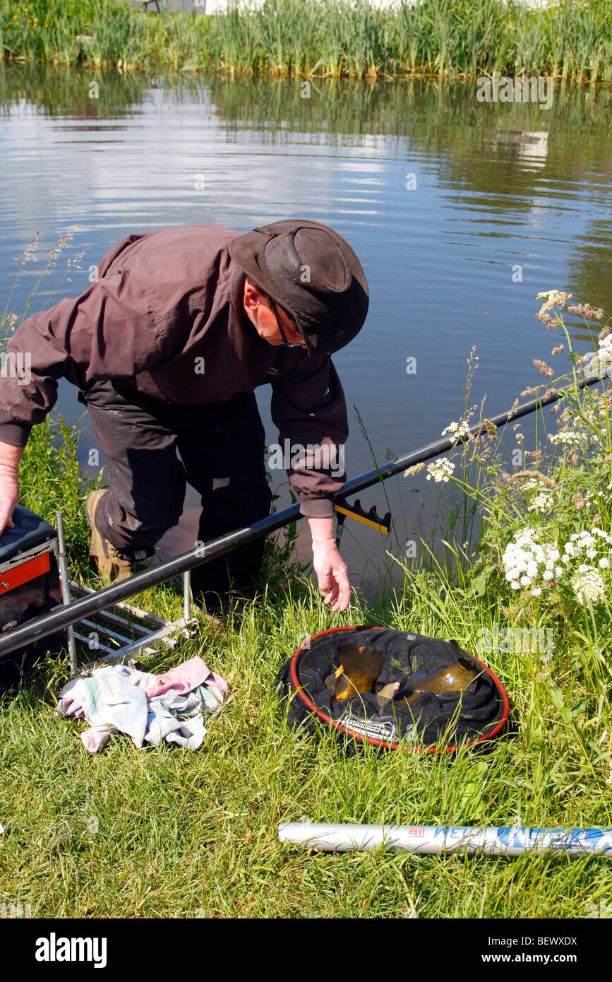 Catching Tench in the Grand Western Canal, Mid Devon Stock Photo