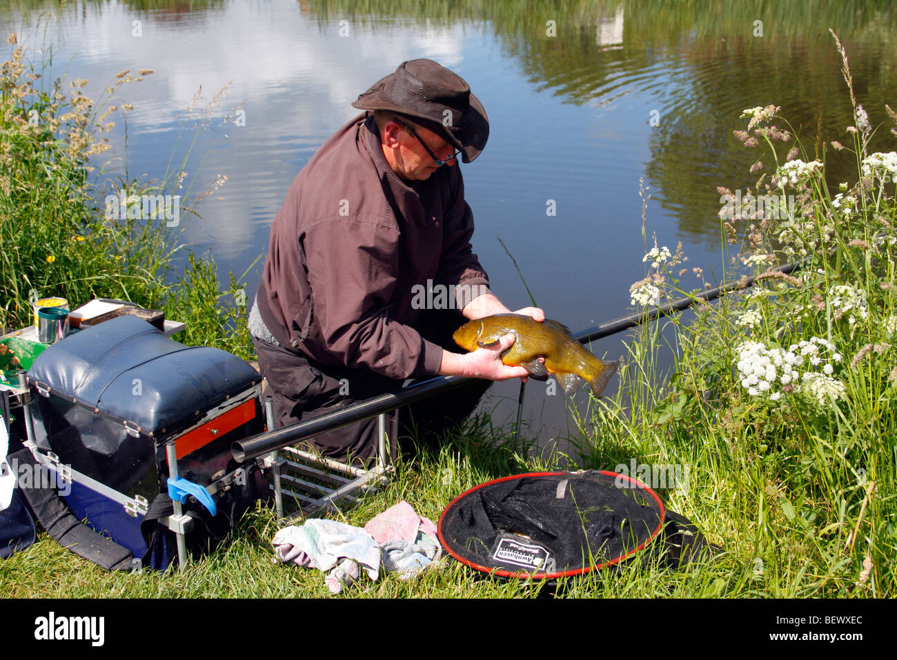 Tench fishing hi-res stock photography and images - Alamy