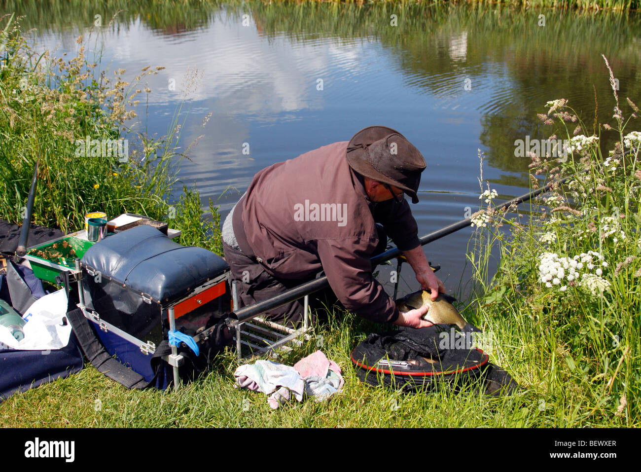 Catching Bream in the Grand Western Canal, Mid Devon Stock Photo