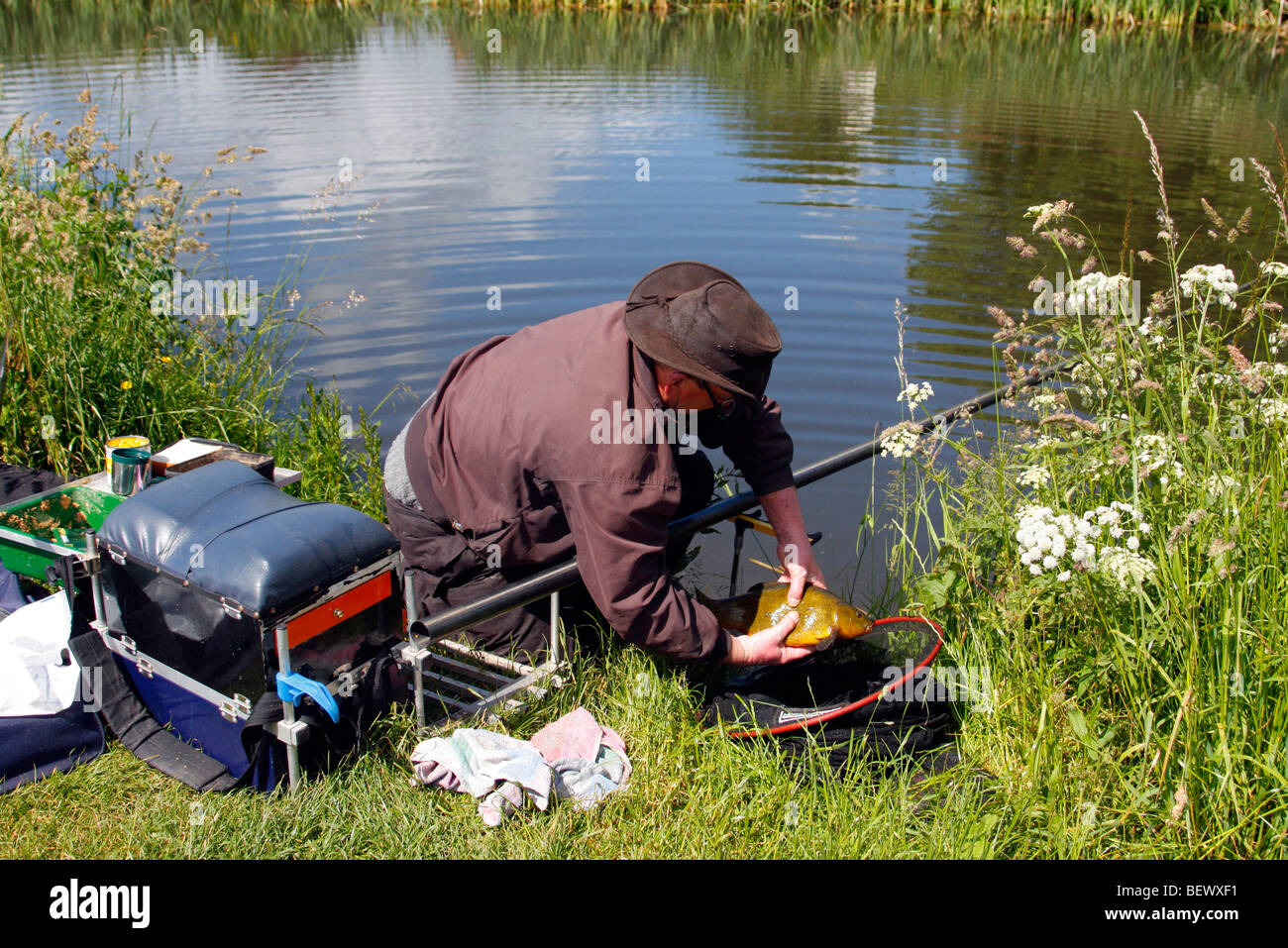 Catching Tench in the Grand Western Canal, Mid Devon Stock Photo