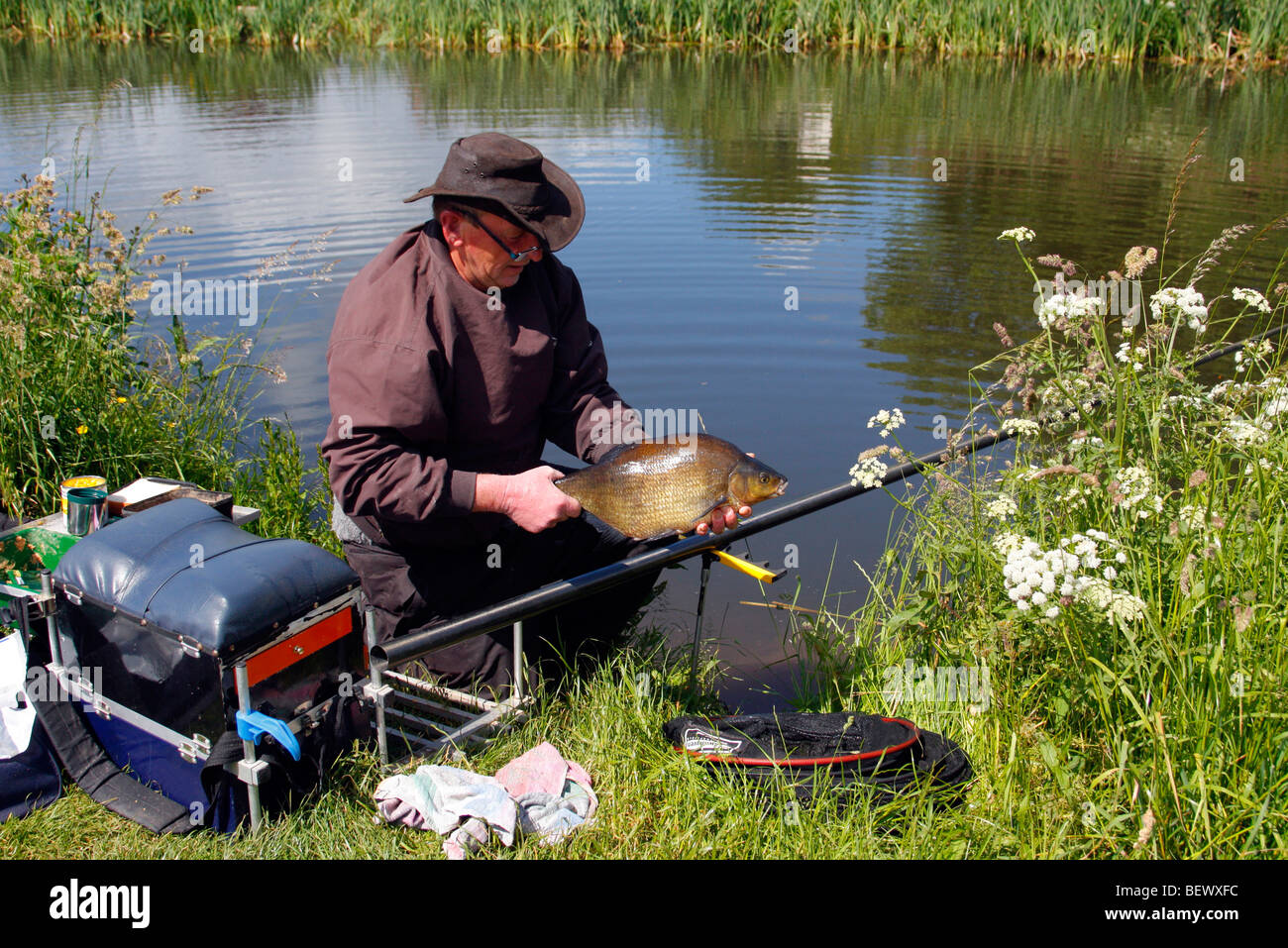 Catching Bream in the Grand Western Canal, Mid Devon Stock Photo