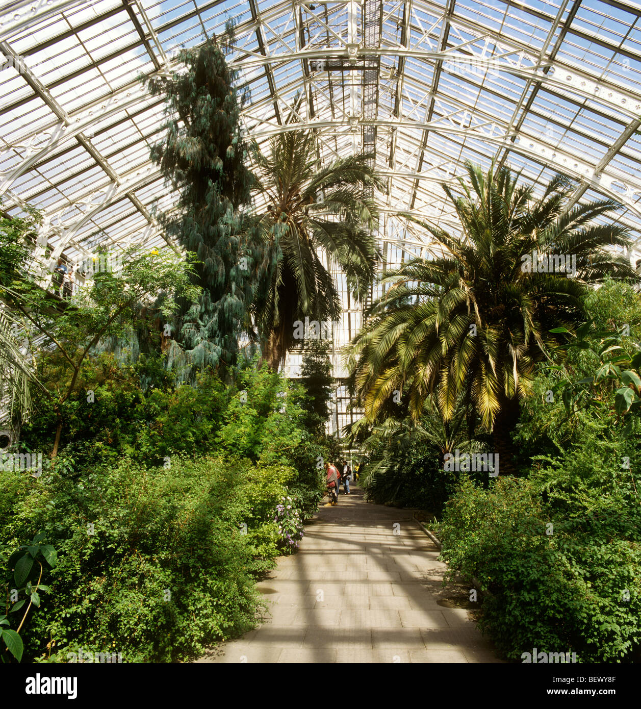 UK, England, London, Kew Gardens, visitors inside the Temperate House ...