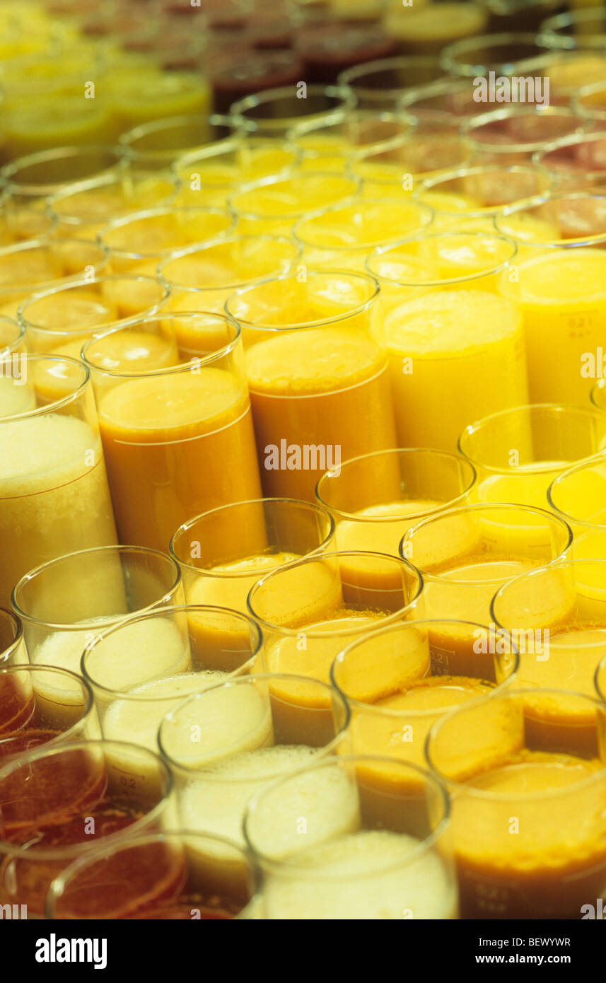 Several Fruit Juice, Germany Stock Photo Alamy