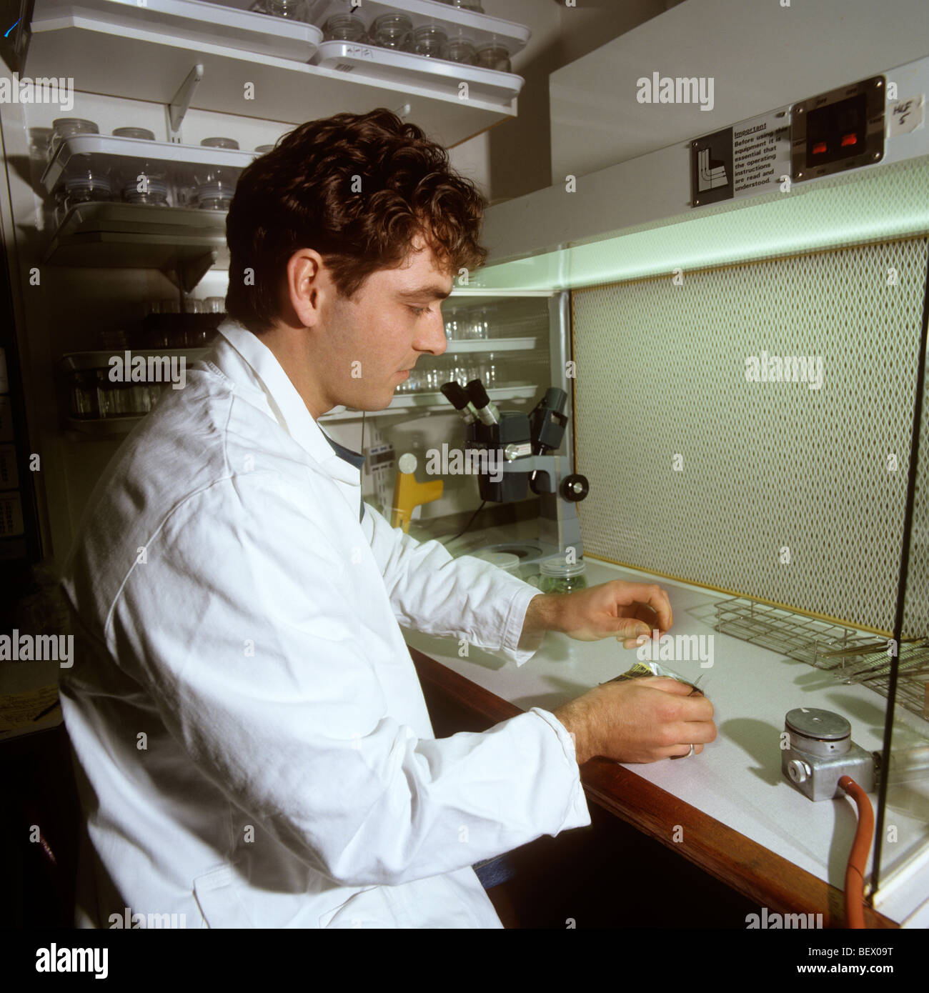 UK, England, London, Kew Gardens scientist Tim Wilkinson, working in the Micro Propagation Unit Stock Photo