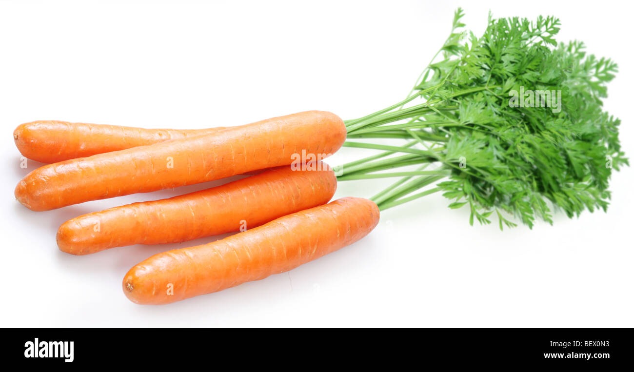 Carrot on a white background Stock Photo Alamy