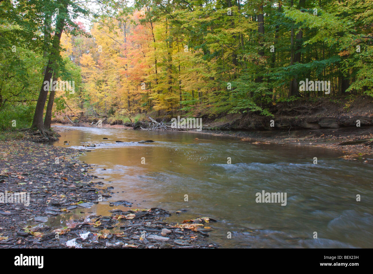 Fall foliage along the Rocky River, Ohio Stock Photo