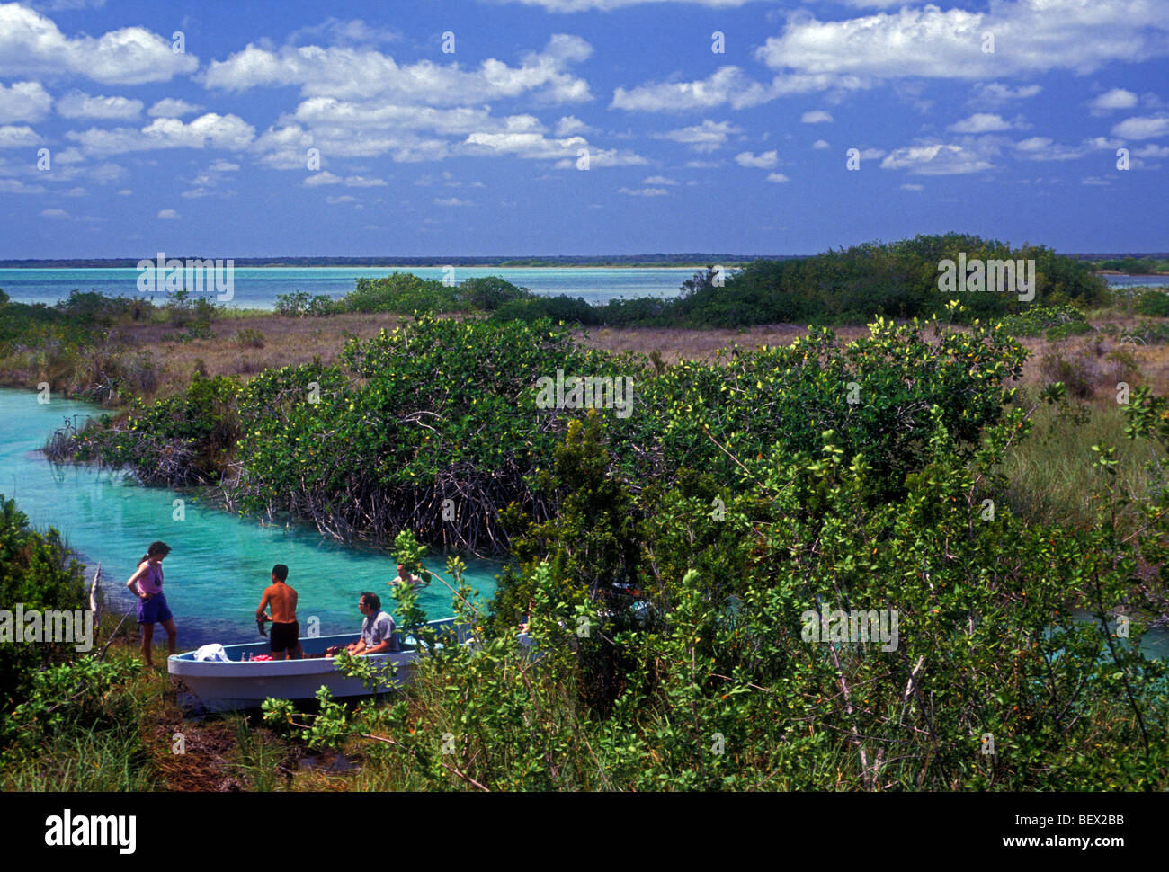 mangrove, mangroves, mangrove stand, wetland, wetlands, wildlife habitat, Sian Ka'an Biosphere Reserve, Quintana Roo State, Yucatan Peninsula, Mexico Stock Photo