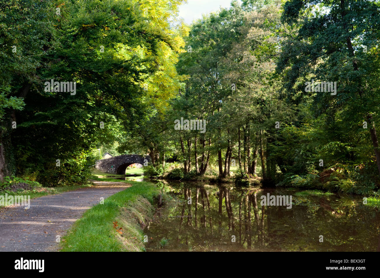 Old stone bridge 134 on the Monmouth and Brecon Canal taken at Llangynidr mid Wales early autumn with perfect still reflection Stock Photo