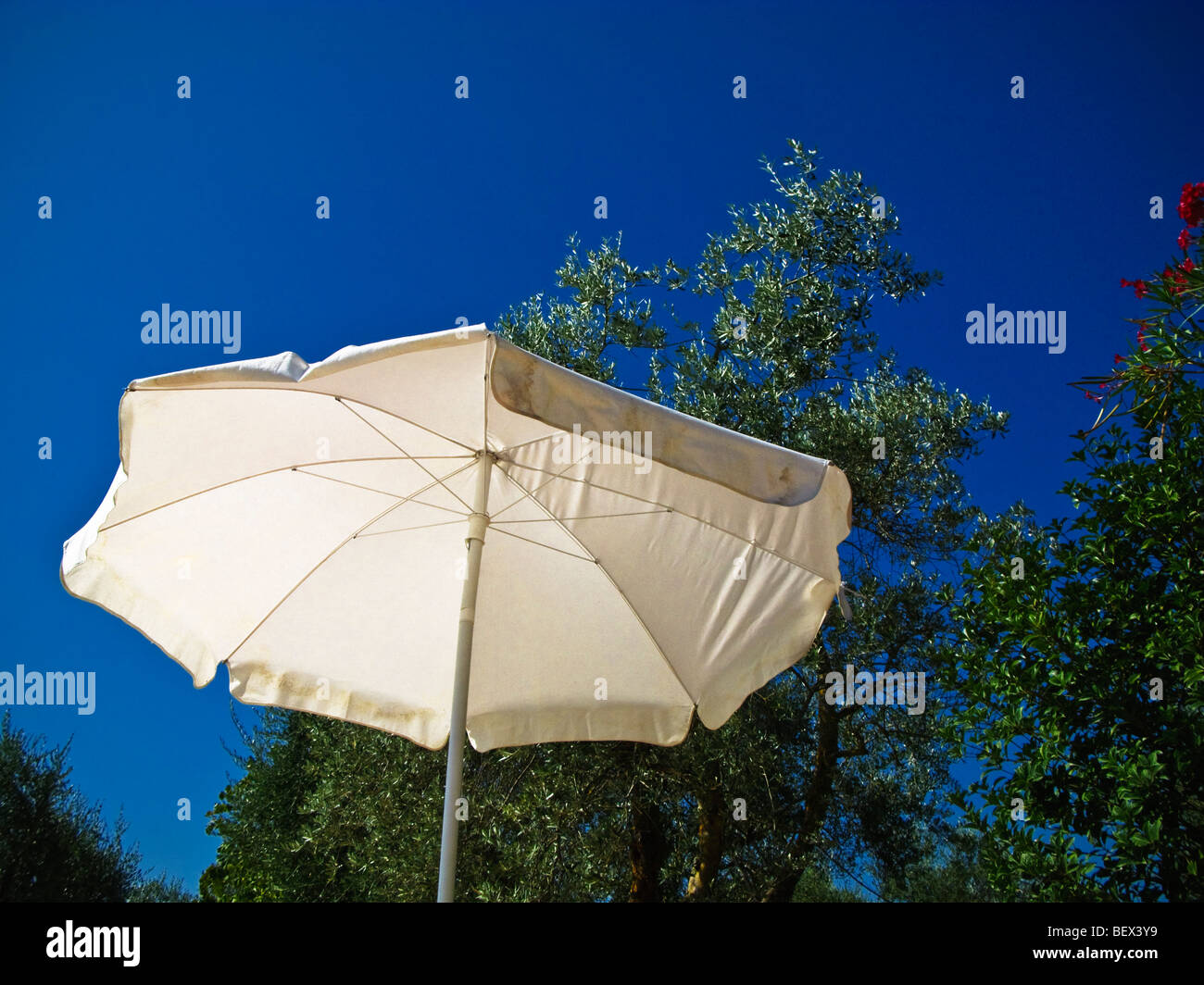 White parasol umbrella against blue sky Stock Photo Alamy