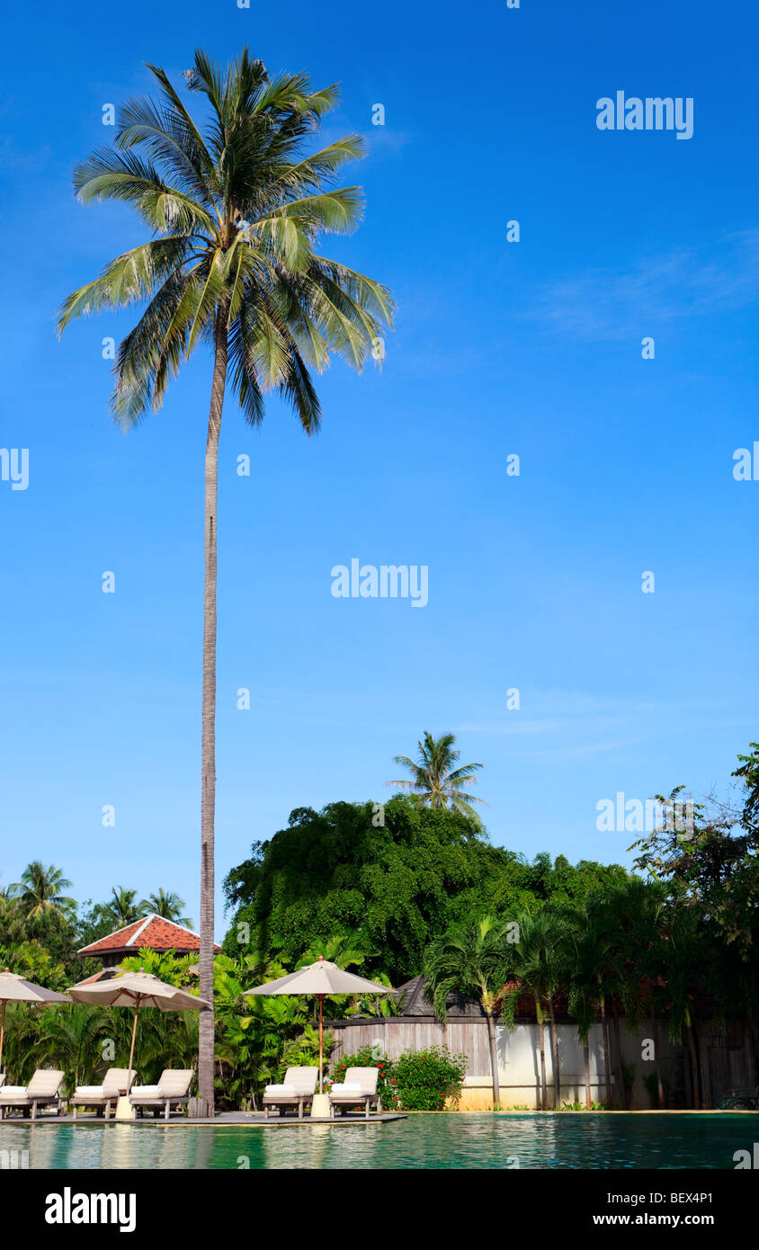 Luxury palm beach resort hi-res stock photography and images - Alamy