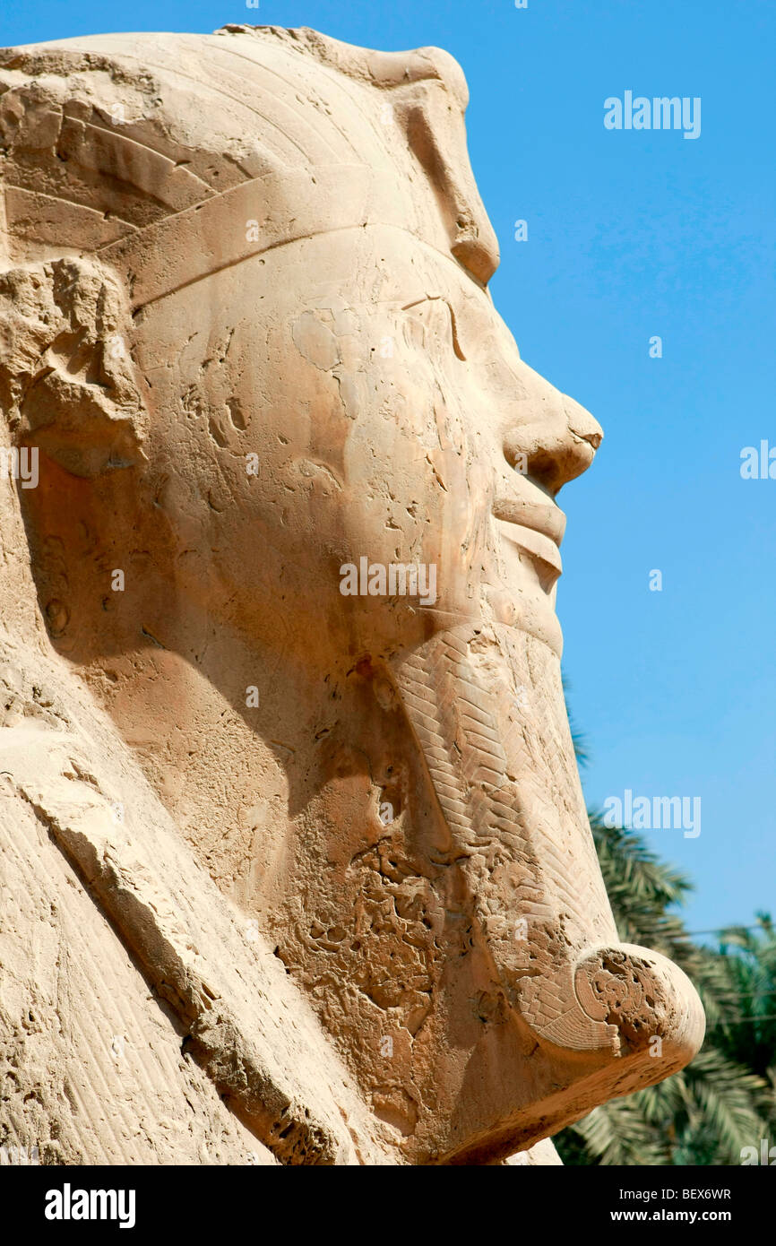 Alabaster Sphinx at Memphis, near Cairo, Egypt Stock Photo Alamy