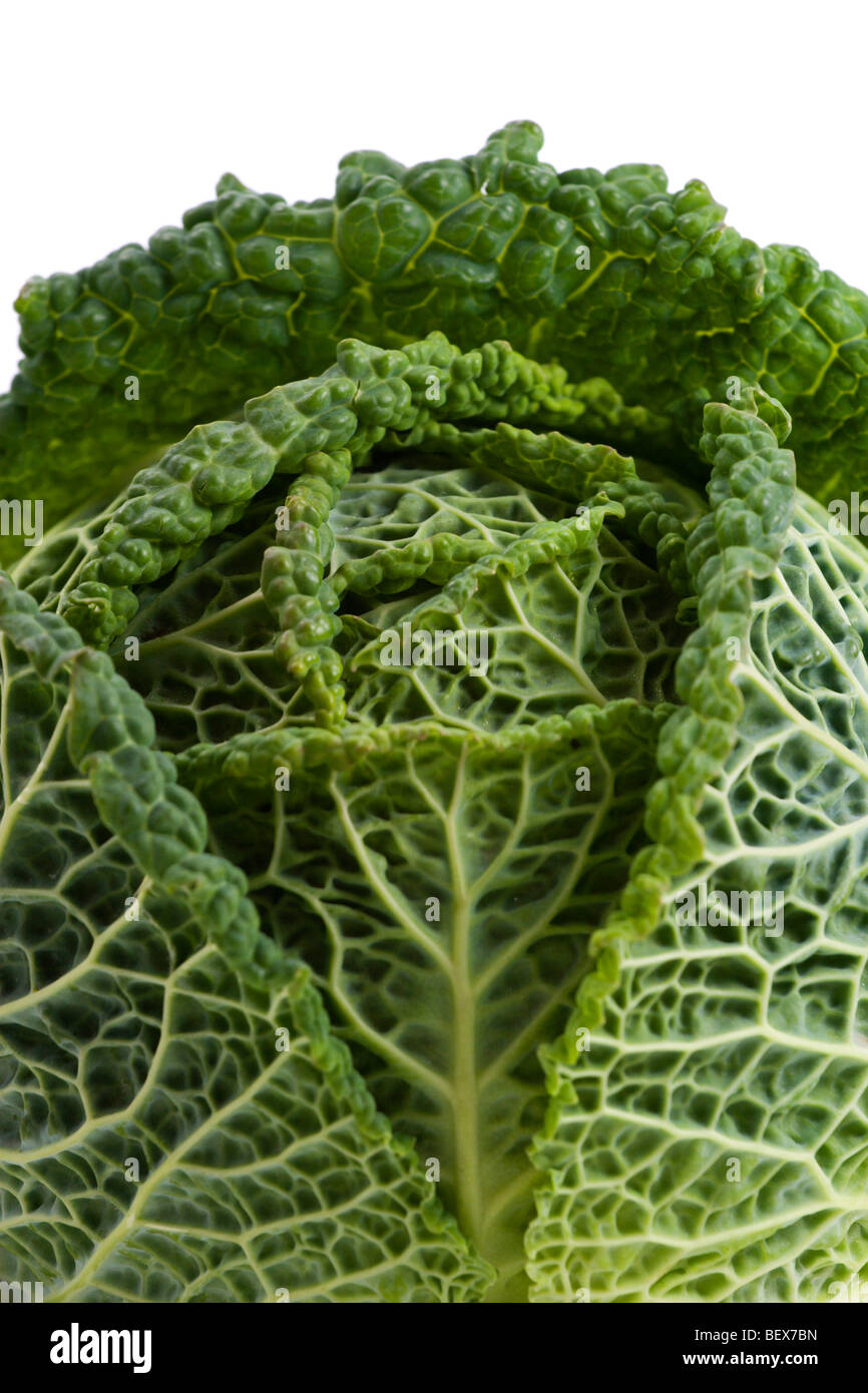 Cavege close up of a cabbage on a white background Stock Photo - Alamy
