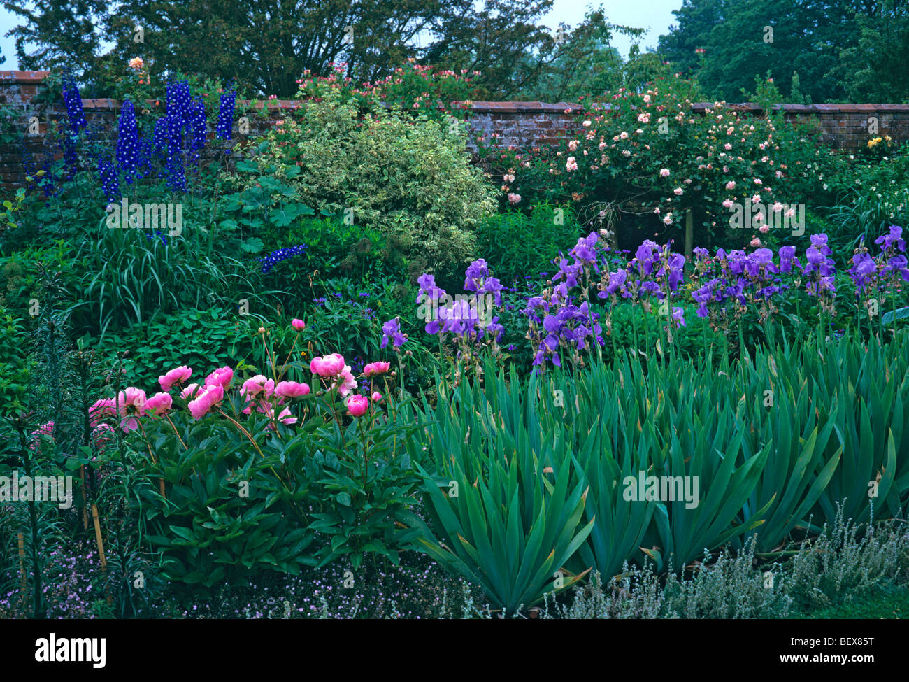 Floral borders in a country garden Stock Photo - Alamy