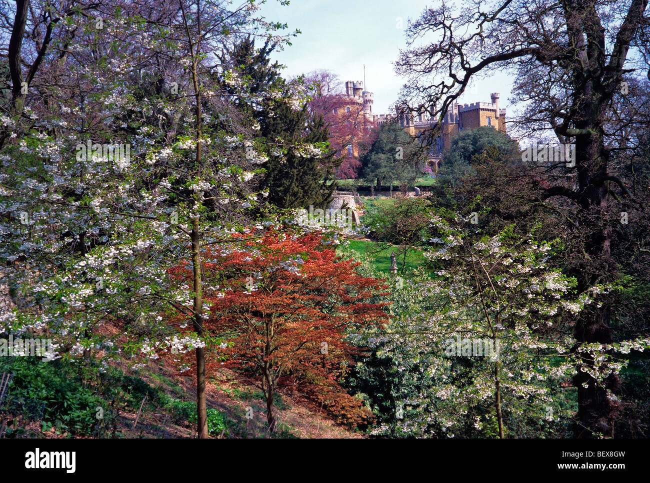 The 'Spring' Gardens in spring at Belvoir Castle with colourful flowering Stock Photo