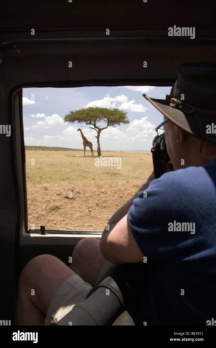 Man photographing giraffe through safari vehicle window - Masai Mara National Reserve, Kenya Stock Photo