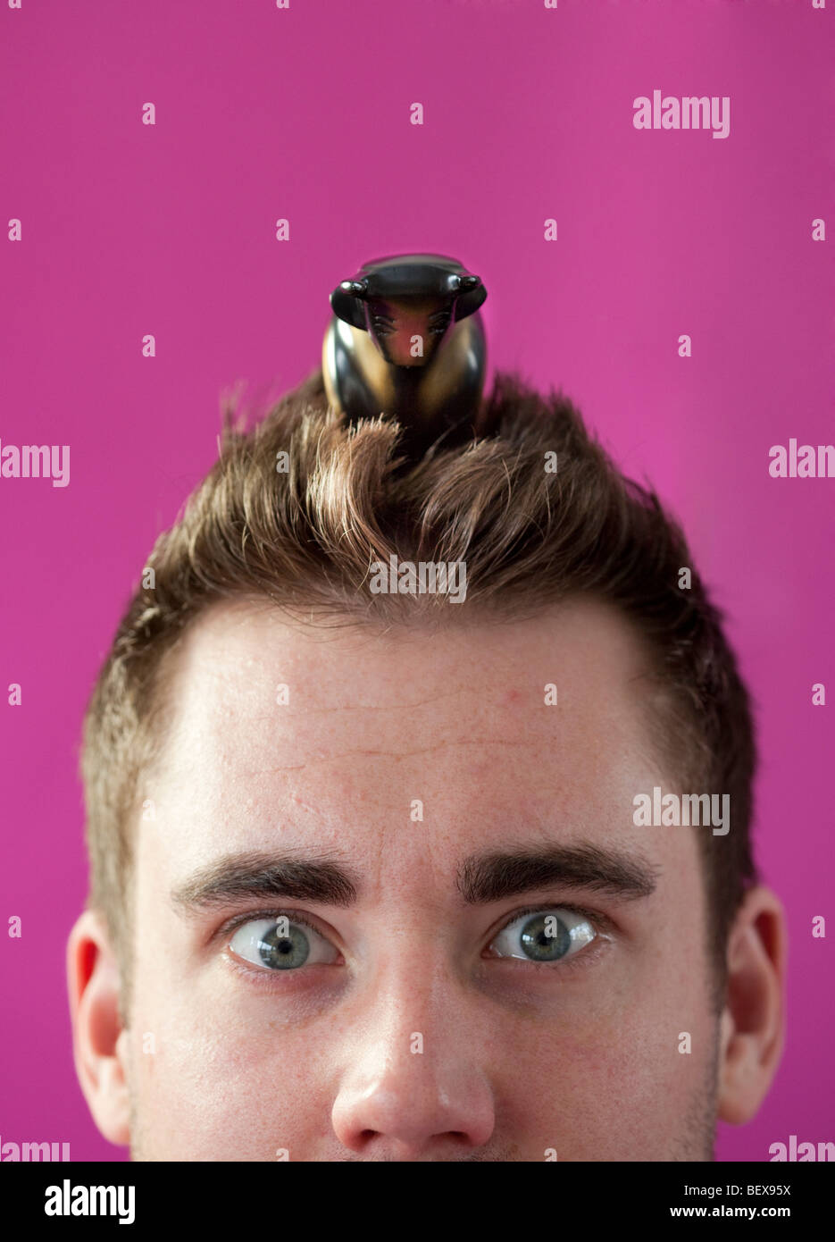 Young man with bull on his head . Stock Photo