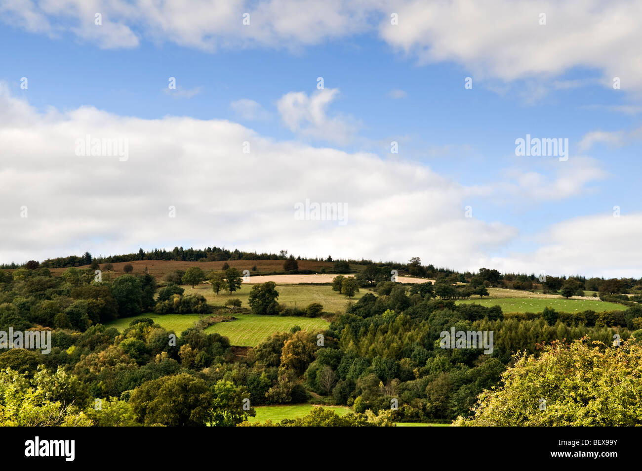 Rural scene with rolling hills and different coloured fields taken from Llangynidr, Mid Wales Stock Photo