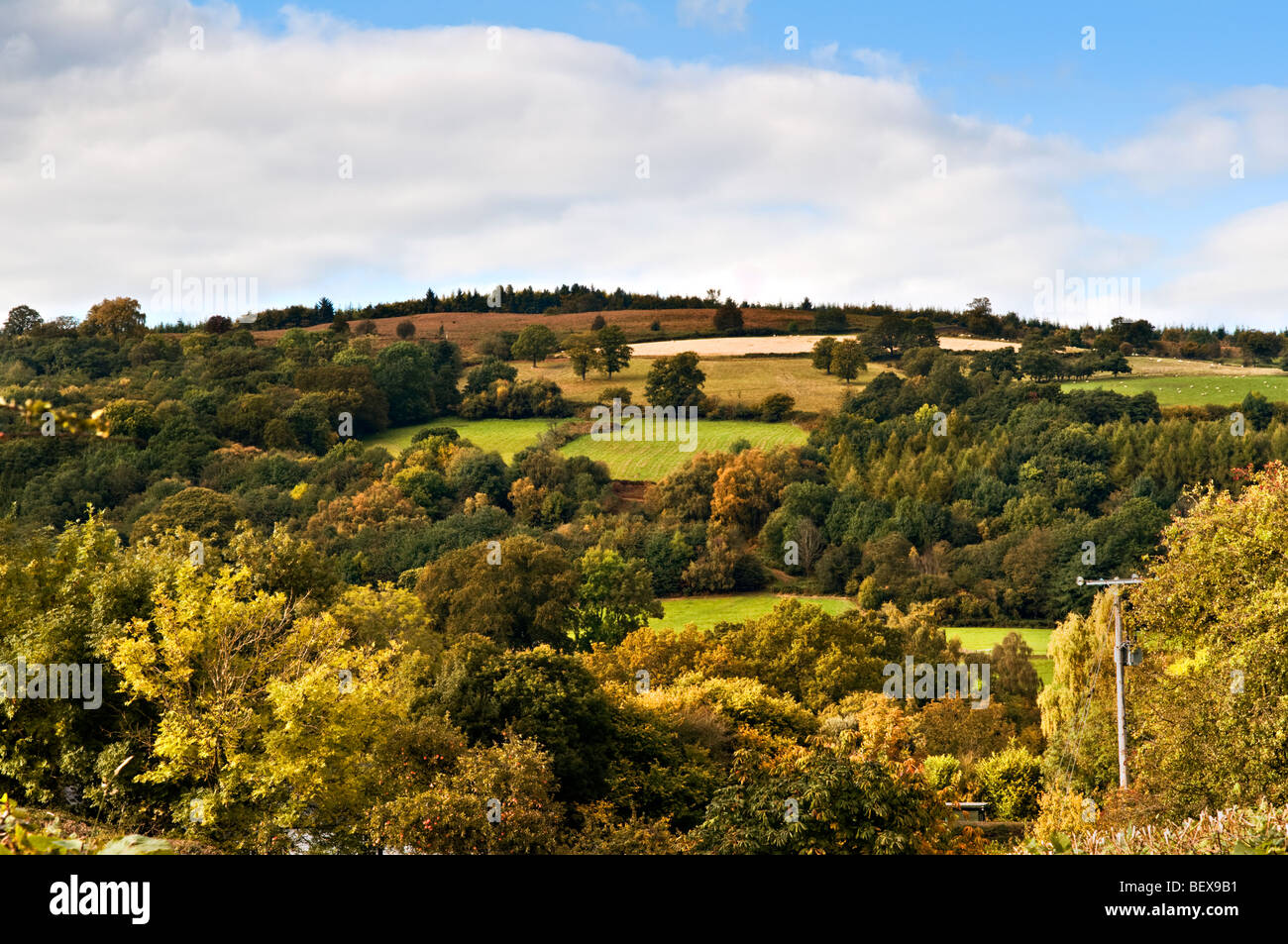 Autumnal rural scene with rolling hills and different coloured fields taken from Llangynidr, Mid Wales Stock Photo