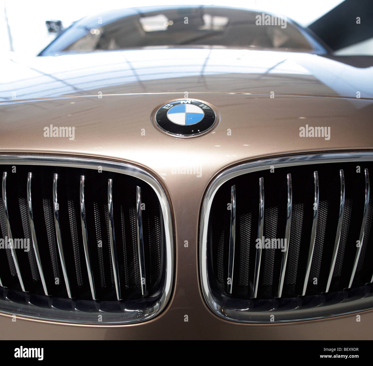 Radiator grille of a BMW Concept X6 Stock Photo