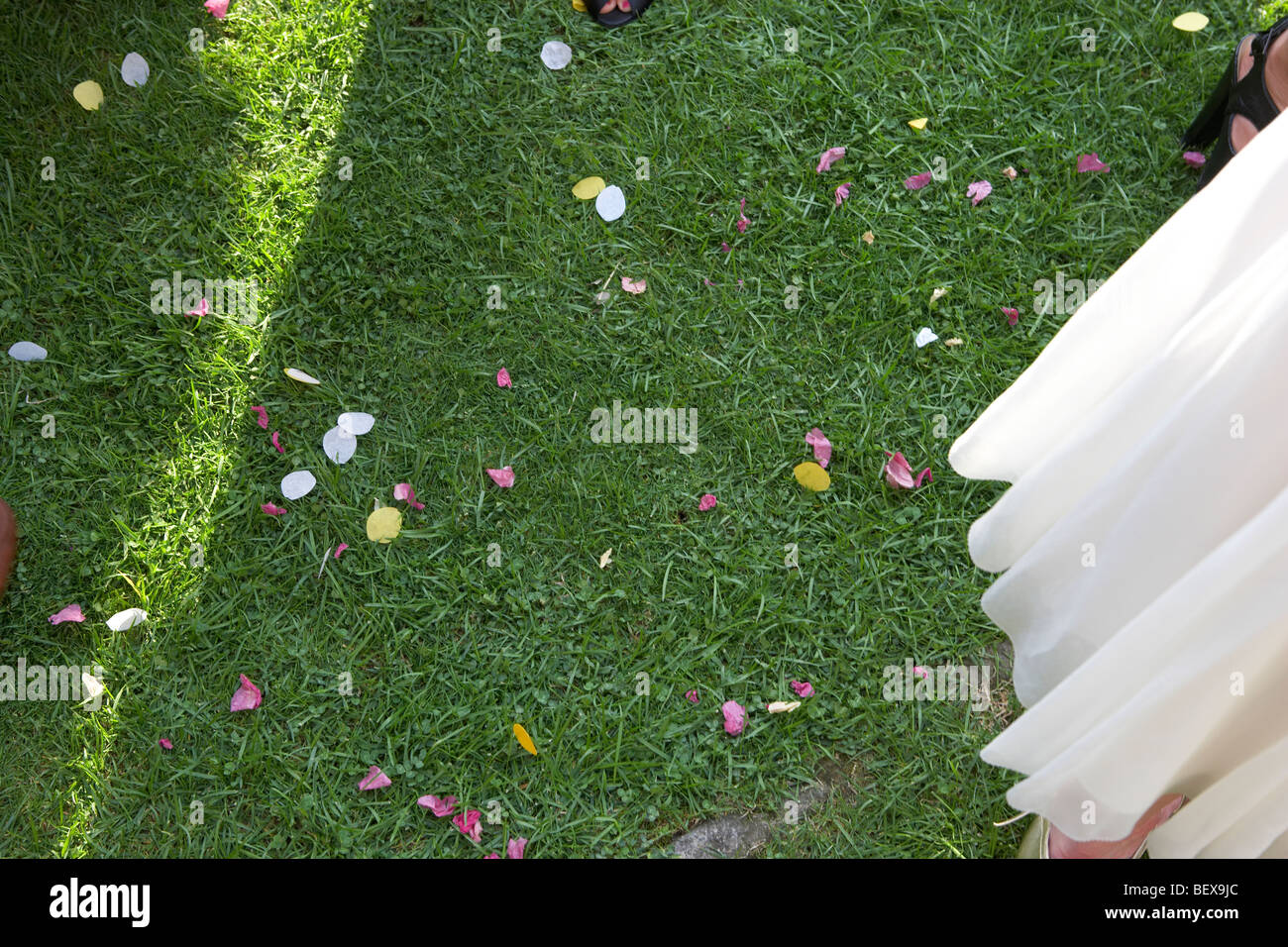 Confetti on grass at a wedding Stock Photo Alamy