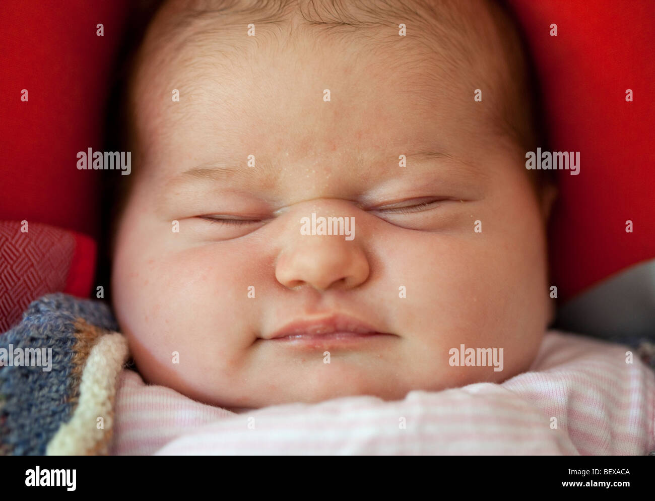 Baby, three weeks old Stock Photo