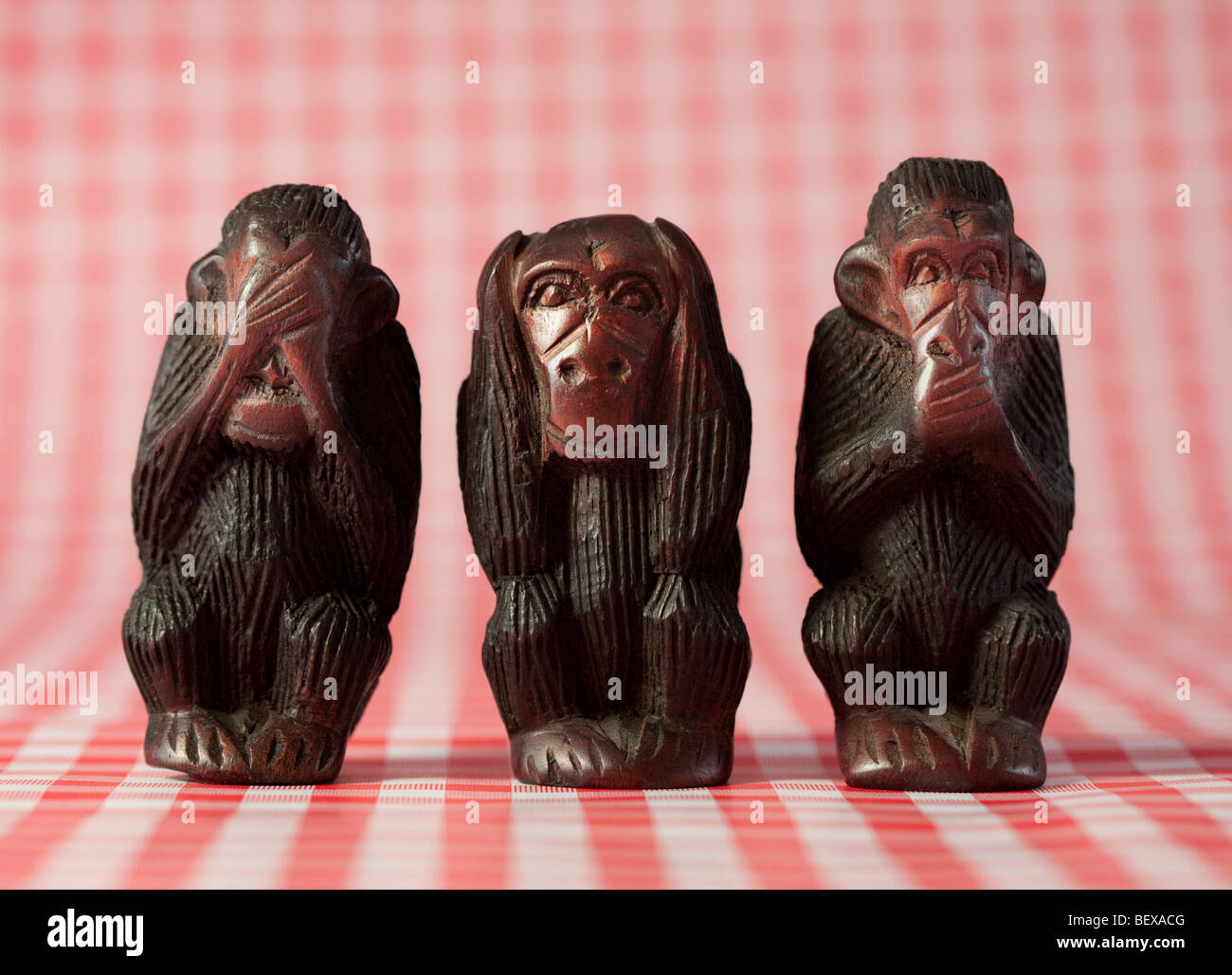 Three wise monkeys , Hear no evil, speak no evil, see no evil . Stock Photo
