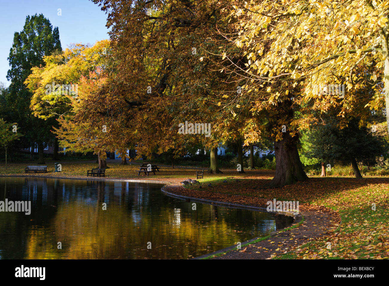 An English park on an autumn morning Stock Photo