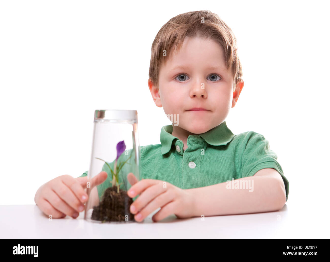 Little boy protecting young growing flower. Isolated on white. Stock Photo