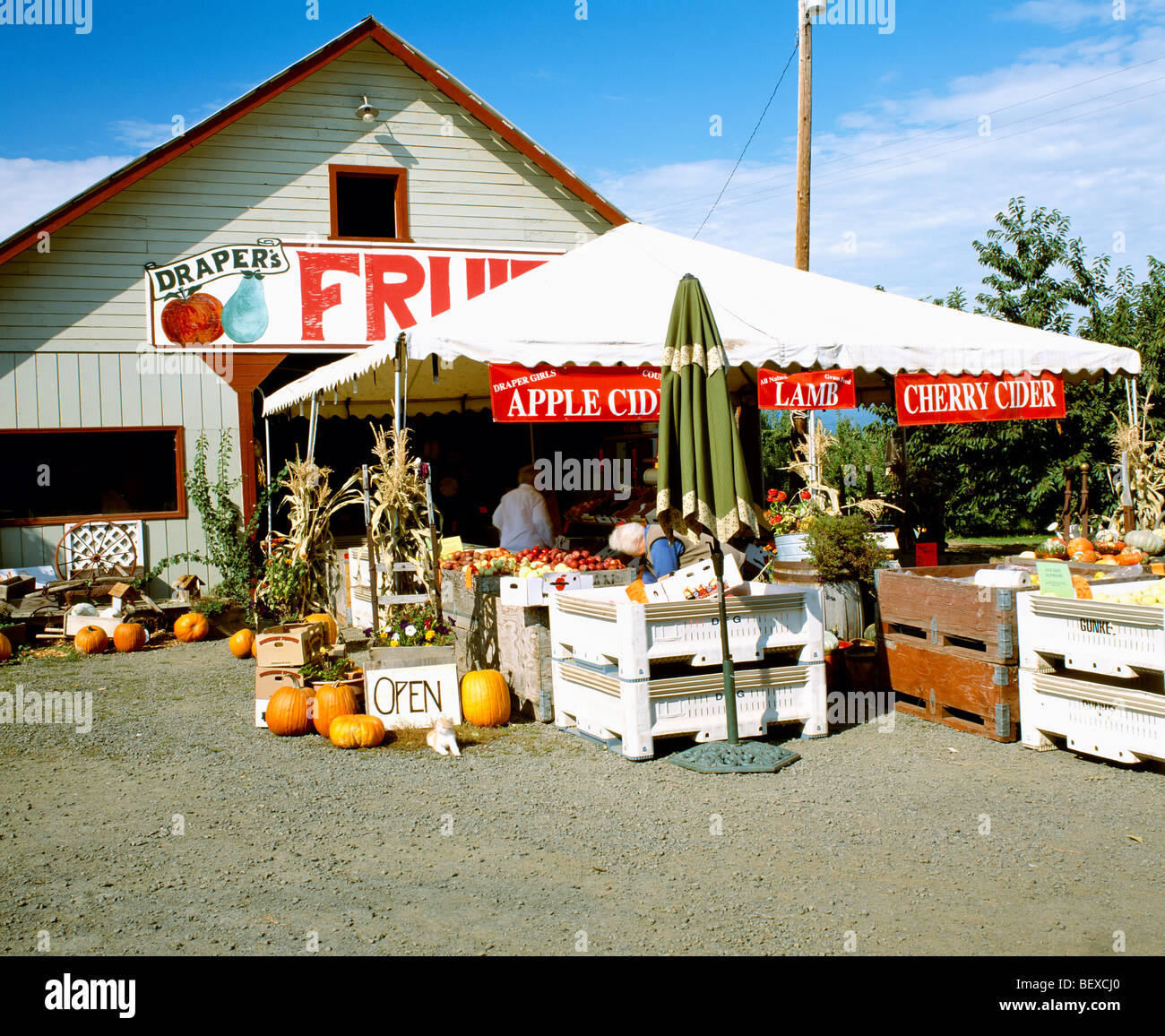 Agriculture Country fruit stand at Draper Girls’ Country Farm / Hood