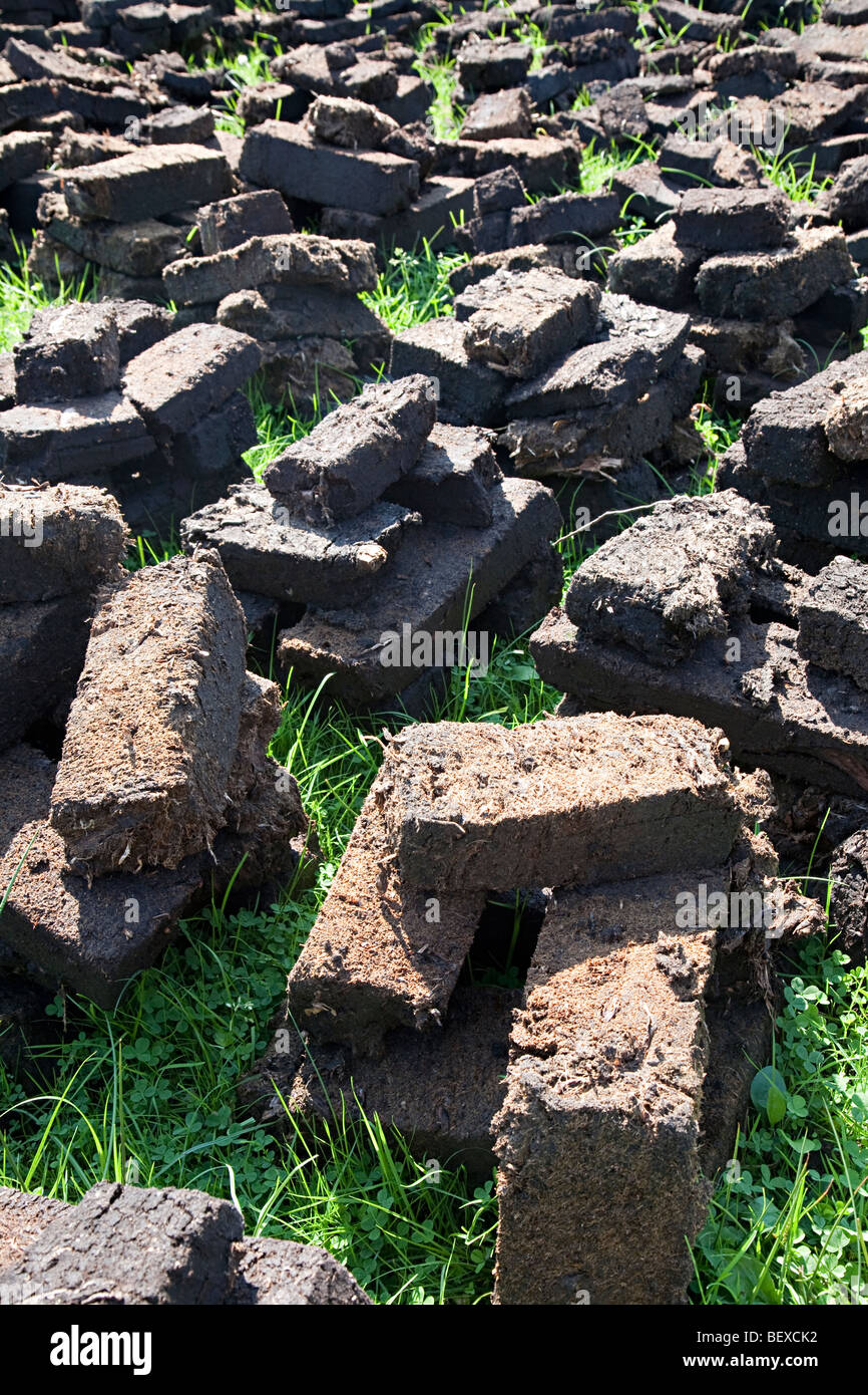 Peat blocks drying in the sun Kluki Poland Stock Photo