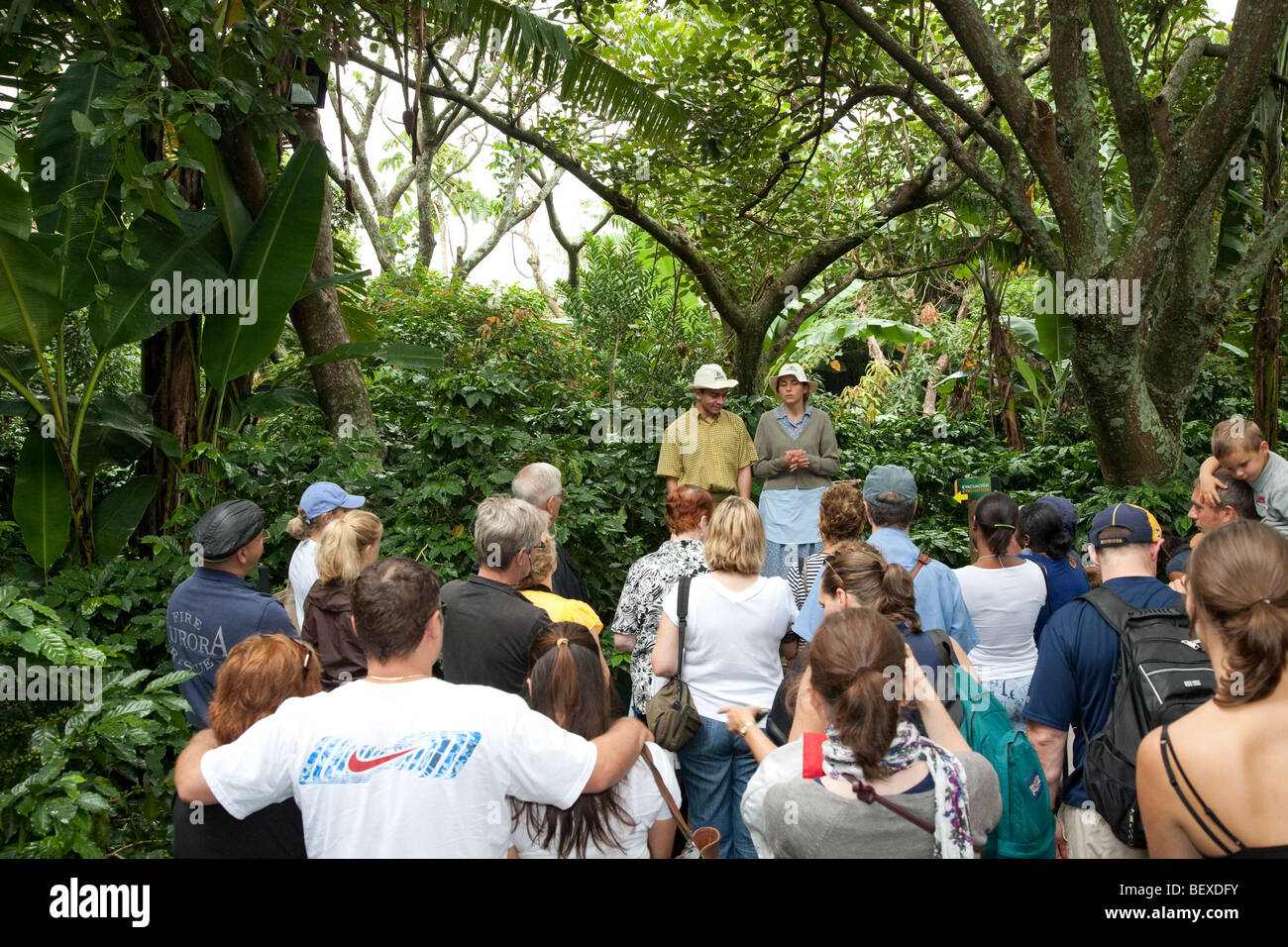 Cafe Britt's Coffee Farm, Coffeetour with professional actors, near Barva de Heredia, San Jose