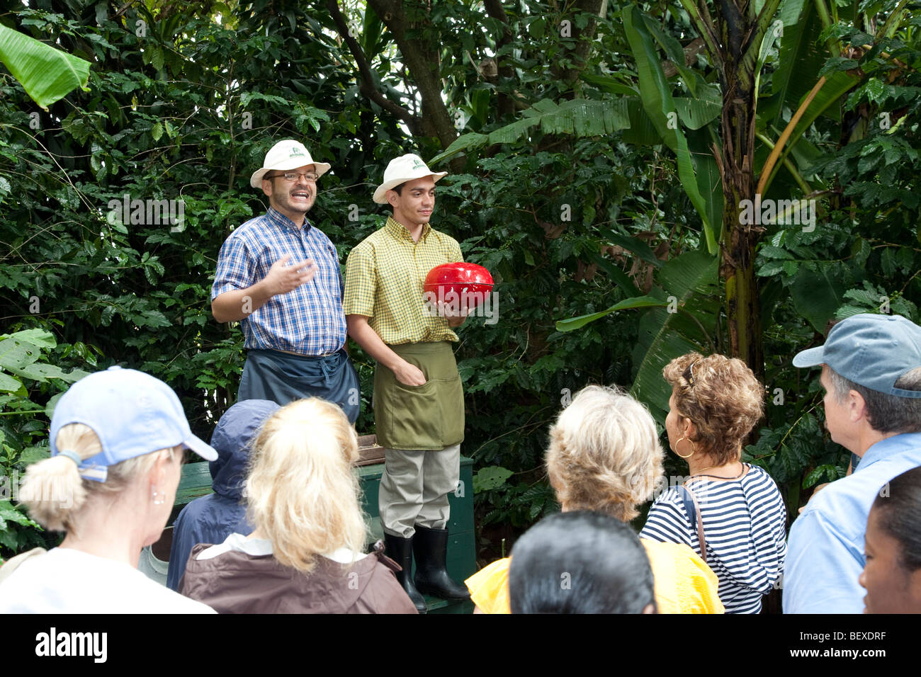Cafe Britt's Coffee Farm, Coffeetour with professional actors, near Barva de Heredia, San Jose