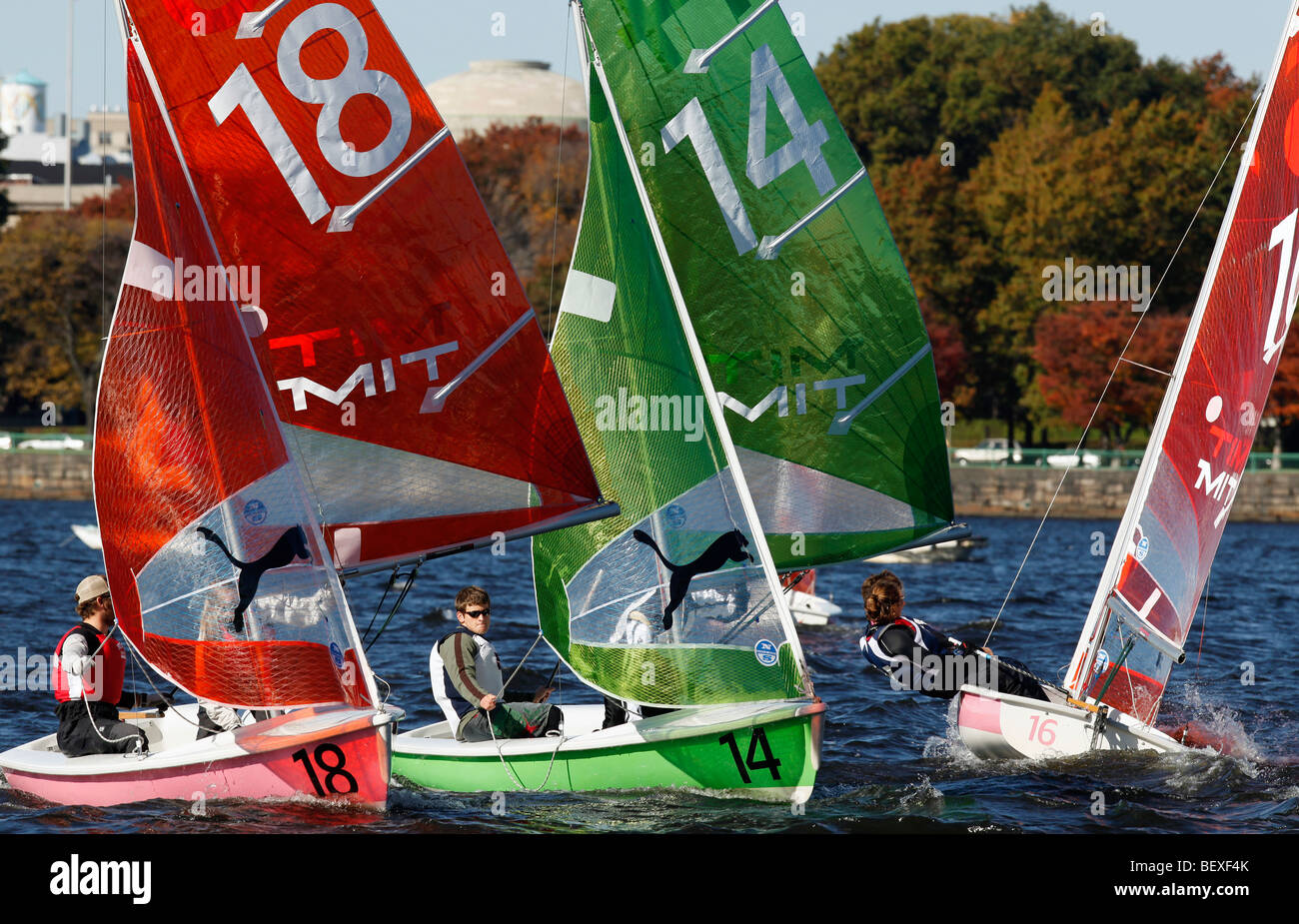 Inter collegiate sailboat race, Charles River, Boston, Massachusetts Stock Photo