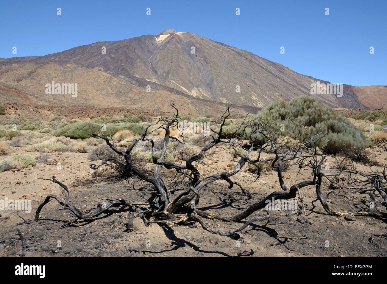 Volcano Pico de Teide, Canary Island Tenerife, Spain Stock Photo