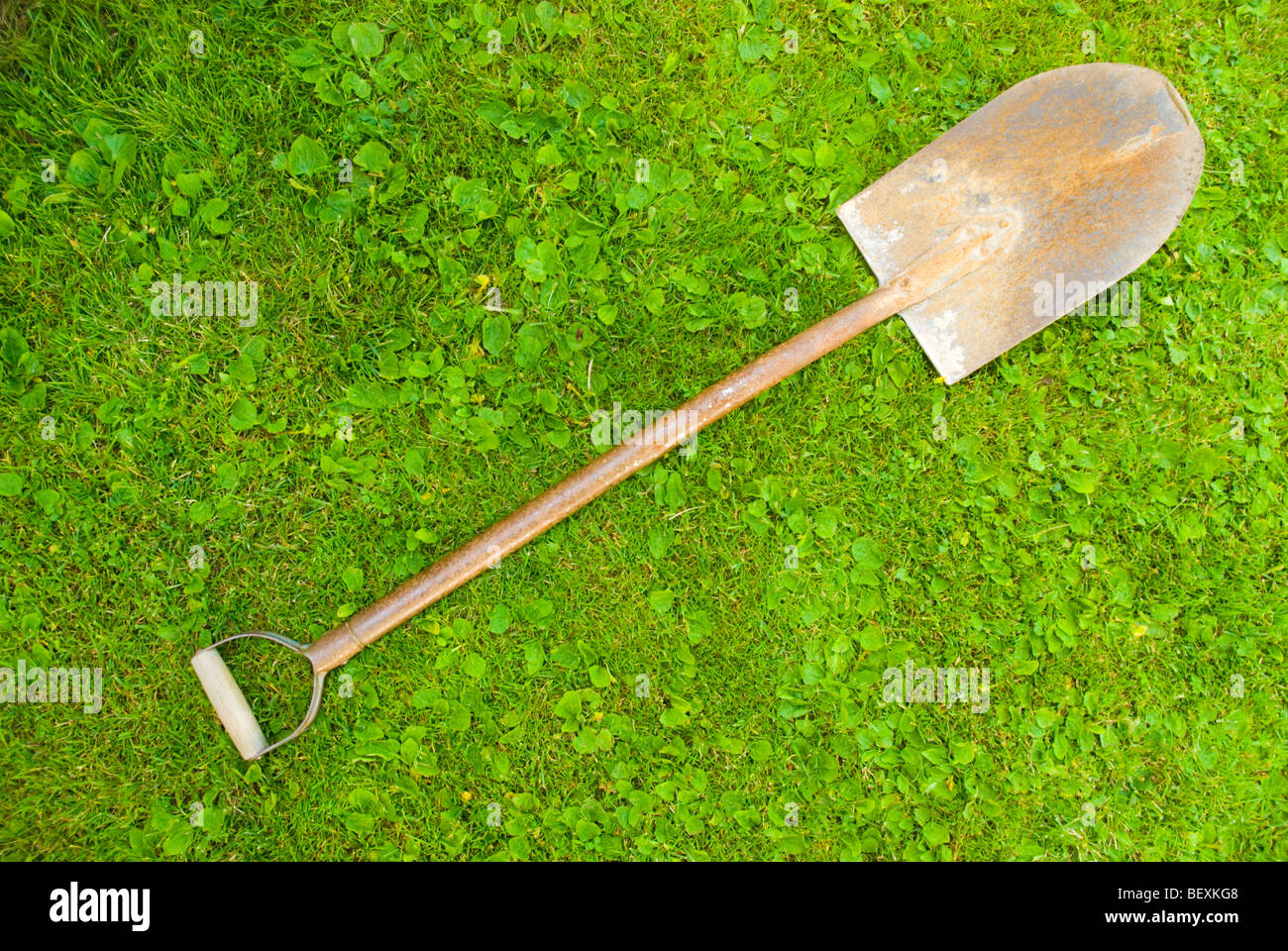 Old shovel lying on grass Stock Photo Alamy