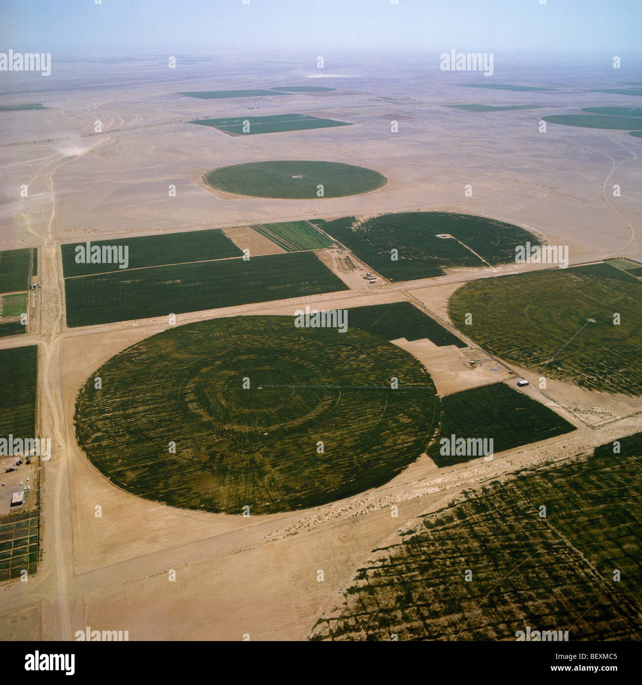 Hail Saudi Arabia Aerial View Of Irrigated Disc Fields Agriculture Stock Photo