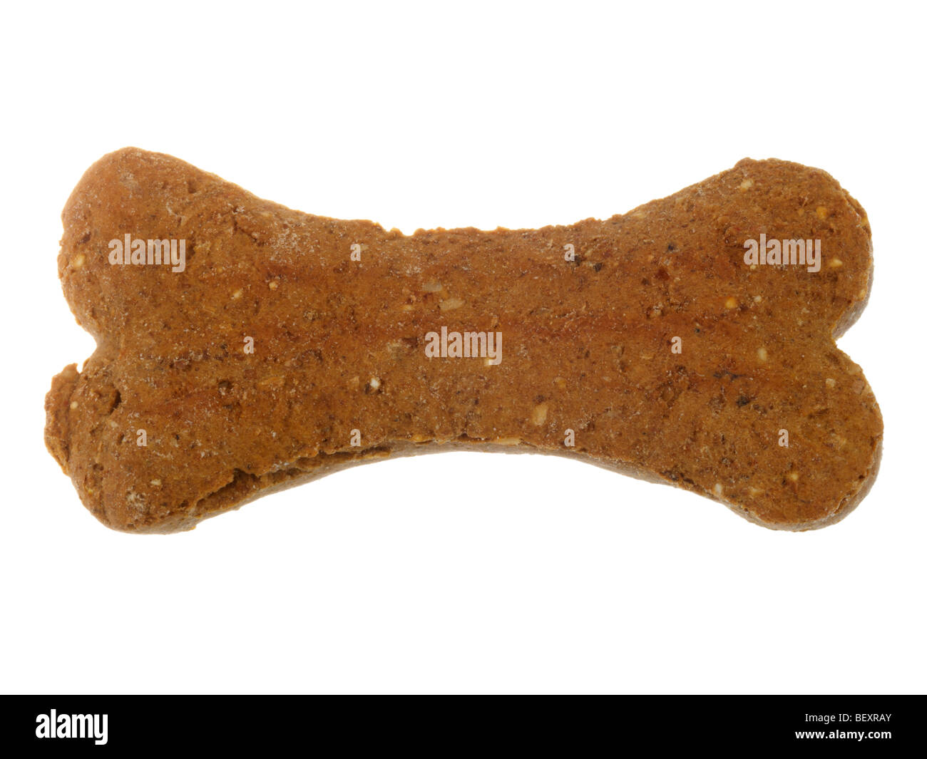 Dog bone hires stock photography and images Alamy