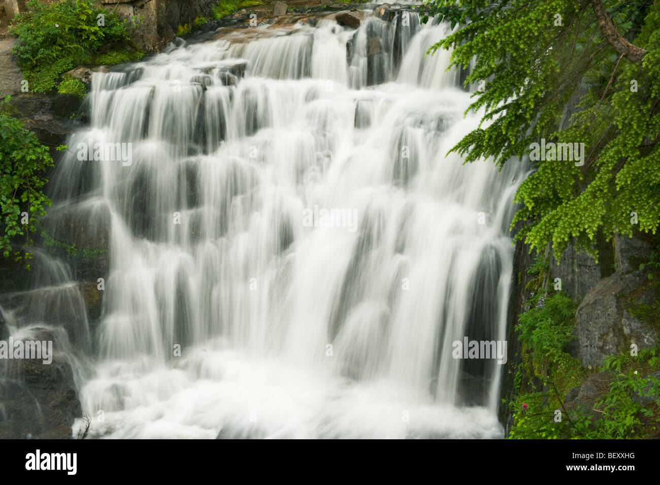 Sunbeam Waterfall, Paradise Area, Stevens Canyon, Mount Rainier National Park, Washington Stock Photo