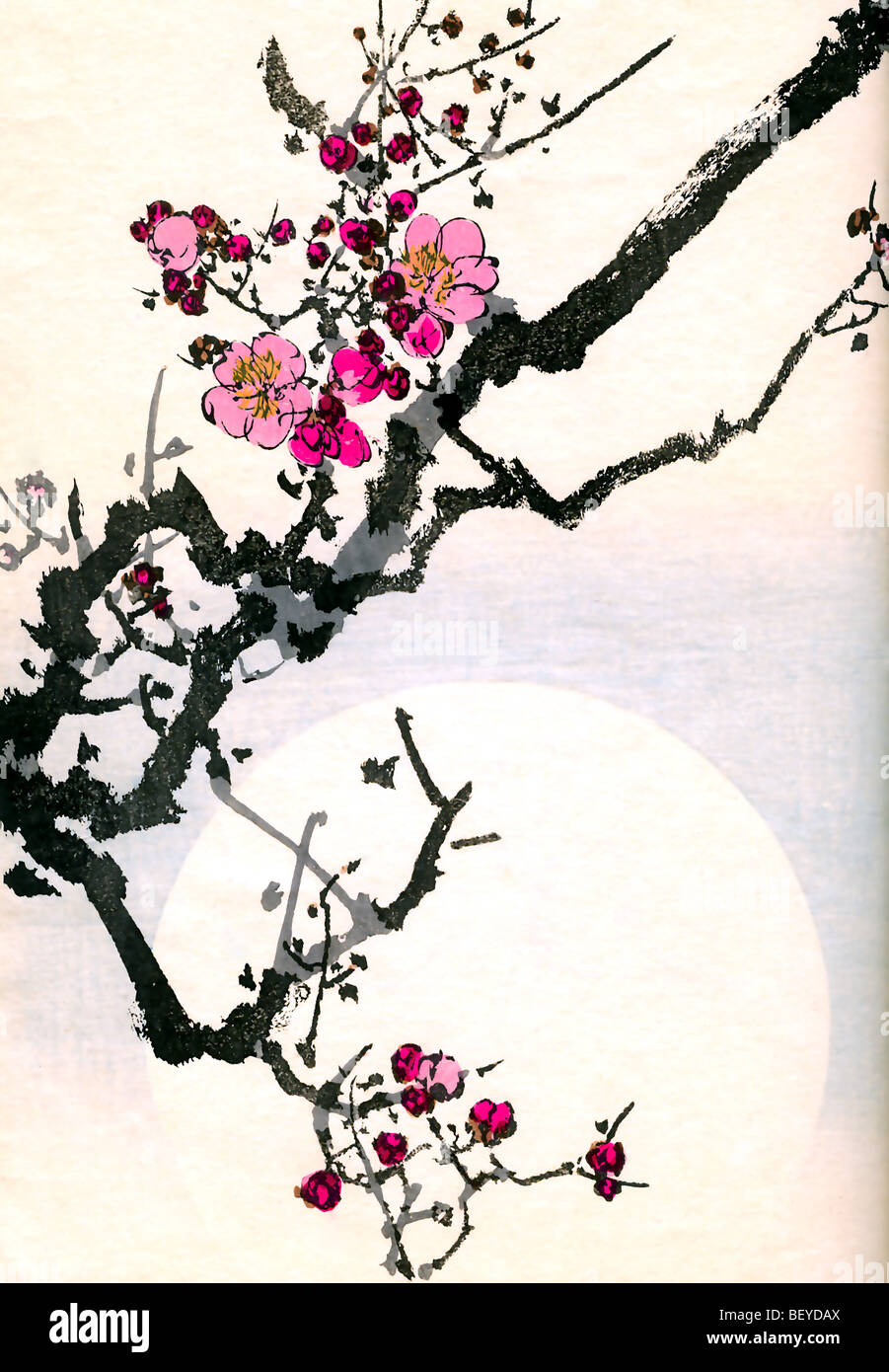 Cherry Blossom Japanese Woodblock Print Watanabe Seitei Stock Photo Alamy