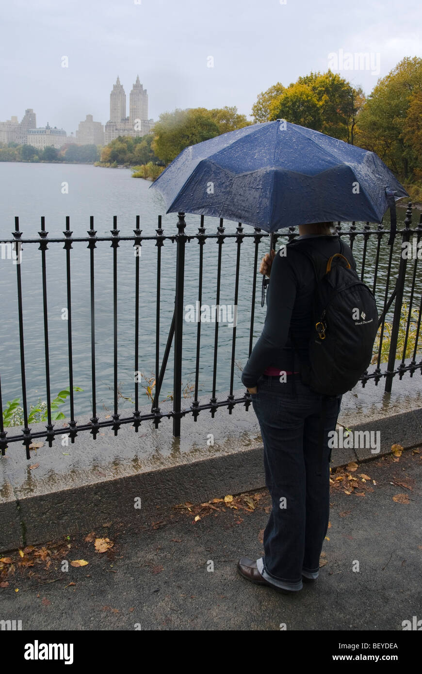 Woman with umbrella in rainy Central Park, New York City Stock Photo ...