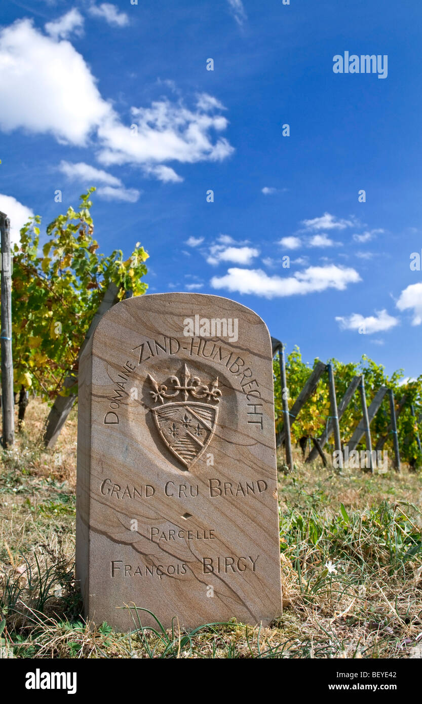 Stone marker in the Grand Cru Brand vineyard parcelle of  Domaine Zind-Humbrecht  Turckheim Alsace Stock Photo