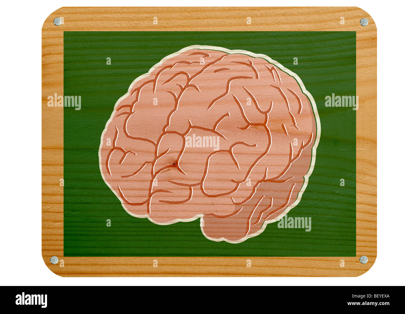 Educational brain image hi-res stock photography and images - Alamy